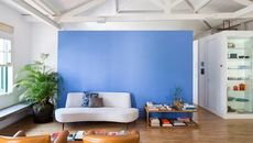 Những loại cây tuyệt vời trang trí cho ngôi nhà đẹp của bạn