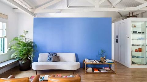 Những loại cây tuyệt vời trang trí cho ngôi nhà đẹp của bạn