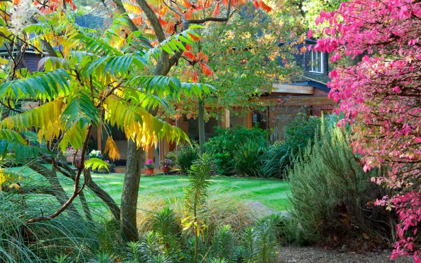 Căn phòng sau vườn và bí mật của bố mẹ chồng