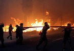 Cháy rừng ở Hy Lạp, tìm thấy hàng chục thi thể trong một biệt thự