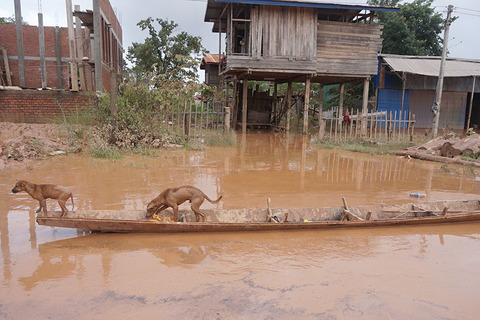Vỡ đập thủy điện ở Lào: Bên trong rốn lũ Attapeu bò chết trôi, nhà đổ sập