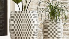 Loạt chậu trồng cây siêu xinh, nhìn là muốn rinh ngay về nhà