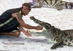 Tai nạn kinh hoàng của người huấn luyện cá sấu