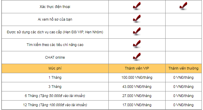 Hái ra tiền từ dịch vụ dành cho người ế tại Việt Nam