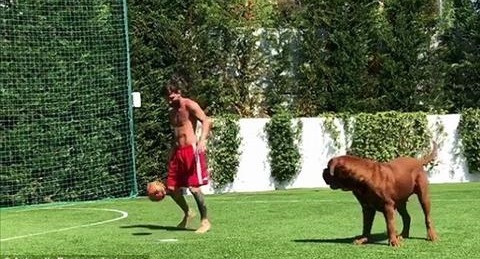 Messi tập luyện với chó Hulk