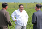 Hình ảnh một mùa hè tất bật của Kim Jong Un