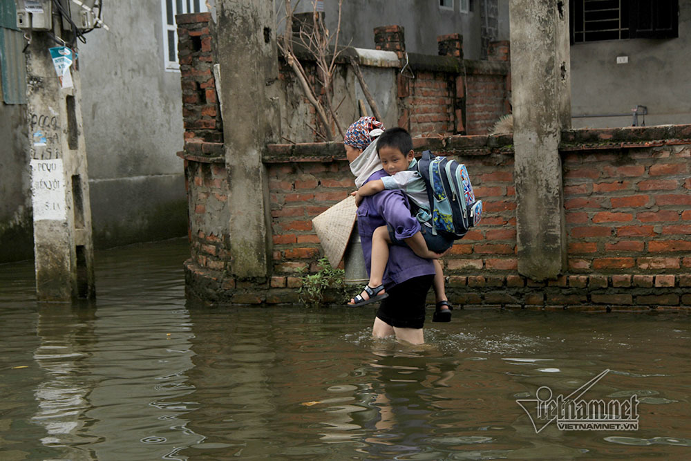 Học sinh Hà Nội leo cây, trèo nóc nhà đi học ngày lũ