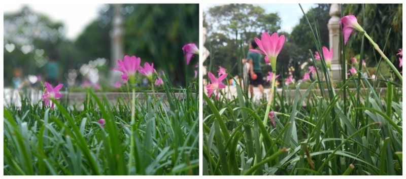 So sánh camera giữa Galaxy J8 và iPhone 6 Plus