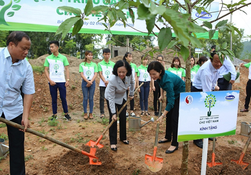 Bắc Kạn có thêm 100.000 cây xanh