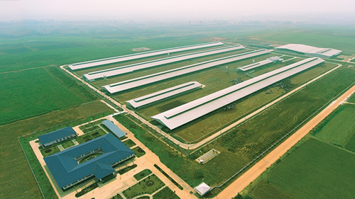 Vinamilk mở rộng đầu tư vào miền Tây Nam Bộ