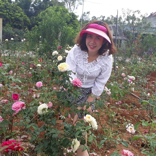 Từ trồng cho vui để ngắm, giờ có vườn hồng đáng giá vài tỷ đồng