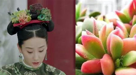 Bật cười trước loạt sạn phi lý của bom tấn 'Diên hi công lược'