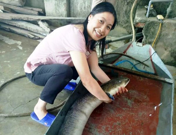 Bắt được cá lệch khổng lồ dài 1,6 m: Chưa từng thấy bao giờ