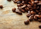 Giá cà phê hôm nay 6/8: Tăng do lo ngại hạn hán và biến động