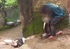 Trộm chó, thanh niên Thanh Hóa bị treo chó lên cổ