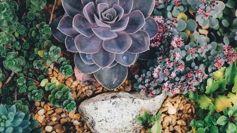 Tử vi 12 cung hoàng đạo ngày 9/8