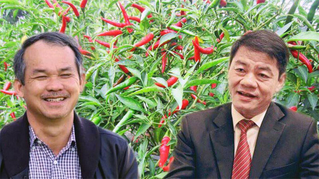 Tỷ phú Trần Bá Dương bỏ tỷ USD ‘đỡ’ Bầu Đức