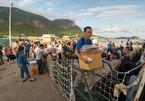 Côn Đảo 'phát sốt': Dân mua đất đổ về không có chỗ mà ngủ