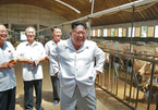 Loạt ảnh Kim Jong Un tất bật thị sát các loại nhà máy