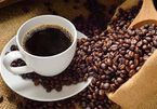 Giá cà phê hôm nay 24/9: Giá cà phê trong nước đứng yên