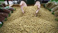 Nga 'bật đèn xanh', muốn giúp TQ đối đầu thương mại với Mỹ? Nga 'bật đèn xanh', muốn giúp TQ đối đầu thương mại với Mỹ?