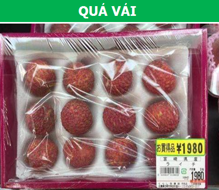 Những thứ 'rẻ như cho' ở Việt Nam nhưng lại có giá 'cao ngất' tại Nhật Bản