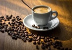 Giá cà phê hôm nay 31/8: Áp lựa mùa vụ ảnh hưởng giá cà phê