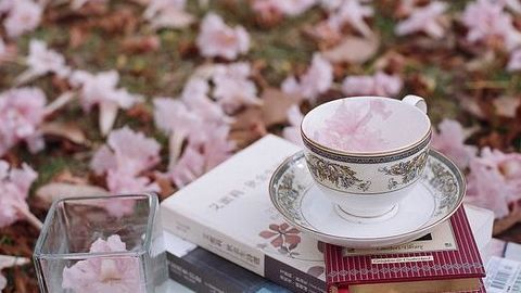 Tử vi 12 cung hoàng đạo ngày 20/8