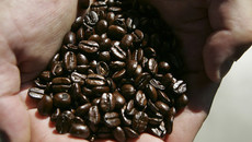 Giá cà phê hôm nay 20/8: Cà phê Arabica chạm mức thấp nhất từ 2013 Giá cà phê hôm nay 20/8: Cà phê Arabica chạm mức thấp nhất từ 2013