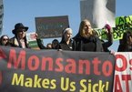 Lật lại lịch sử bê bối Monsanto - hãng sản xuất chất độc da cam vừa thua kiện