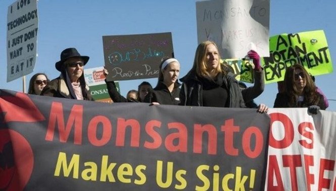 Lật lại lịch sử bê bối Monsanto - hãng sản xuất chất độc da cam vừa thua kiện