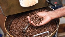 Giá cà phê hôm nay 19/9: Xuống dưới 32.000 đồng/kg Giá cà phê hôm nay 19/9: Xuống dưới 32.000 đồng/kg
