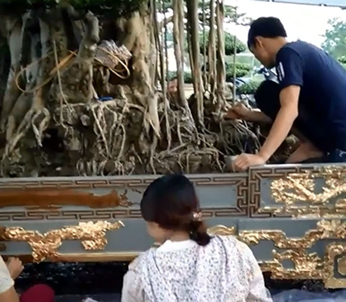 Đại gia Việt dát vàng bể cây cảnh: Không tốn mấy đâu...