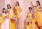 Nhan sắc các người đẹp Hoa hậu Hoàn Vũ Việt Nam