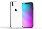 Việc sản xuất iPhone Xs, iPhone X Plus đi vào giai đoạn nước rút