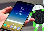Samsung khắc phục 'gót chân Asin', cập nhật Android sớm hơn