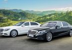 Audi, Mercedes... bất ngờ độ giàu ngầm, chịu chơi của người Việt