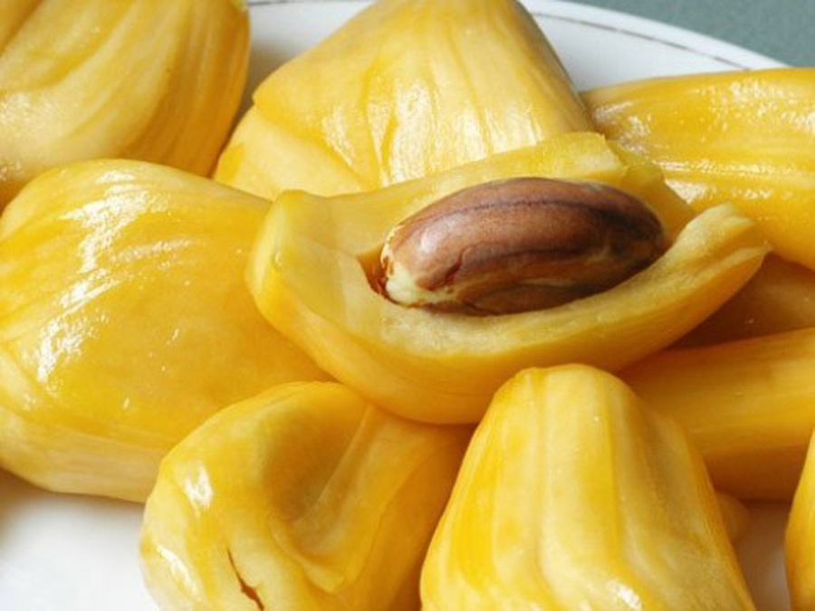 Loại quả 'cứu tinh' tương lai thế giới, thứ tầm thường lăn lóc ở Việt Nam