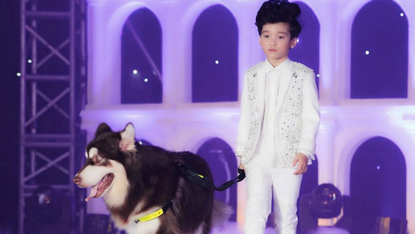 120 mẫu nhí trình diễn thời trang với thú cưng