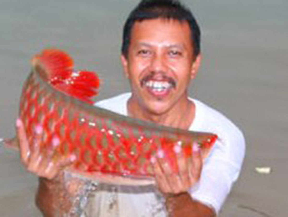 An Giang: Đi thăm đồng bắt được cá thiêng đỏ như máu dài 1,6 mét