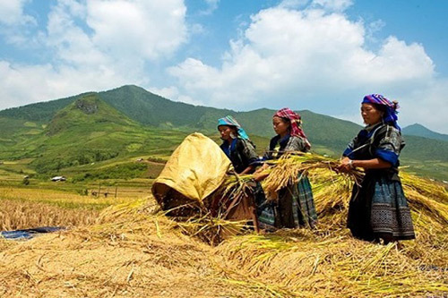 Phát triển hạ tầng hỗ trợ sản xuất cho đồng bào dân tộc