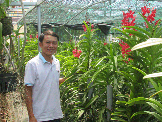 Mô hình trồng lan Mokara ứng dụng công nghệ sinh học  Kỹ Thuật Nuôi Trồng com
