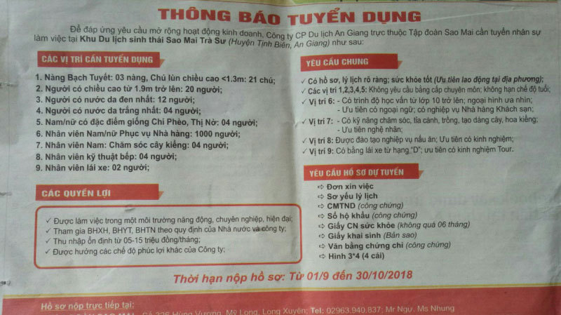 Công ty du lịch tuyển 