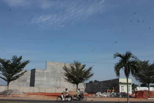 Cả thành phố Phan Rang mất ngủ vì một loài chim