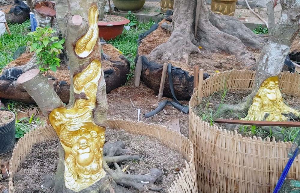 tượng phật khắc trên cây