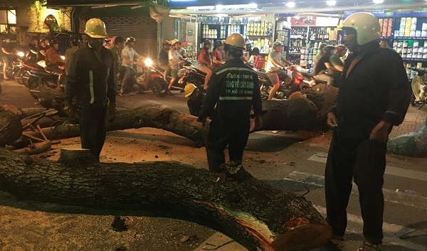 Toát mồ hôi xem hai bà cháu trườn khỏi cây cổ thụ đè lên người