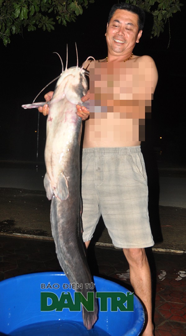 Câu trộm được con cá trê khổng lồ hàng chục kg ở Hồ Gươm