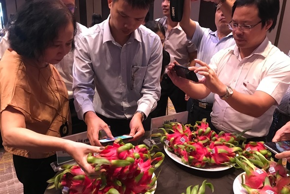 Truy xuất nguồn gốc nông sản bằng blockchain: Tiện lợi nhưng khó áp dụng