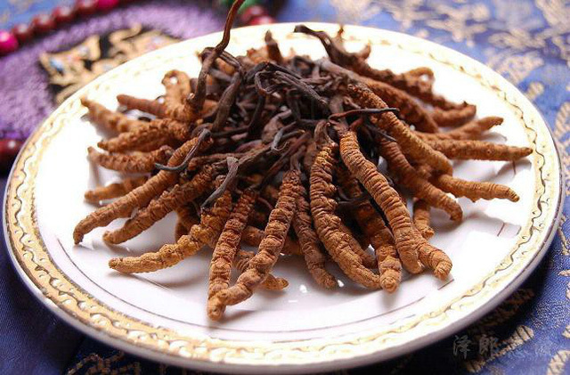 Không có vàng hay kim cương, đặc sản này vẫn nằm trong top