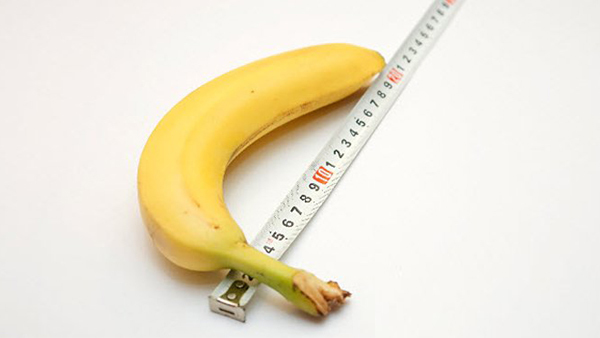 “Cậu nhỏ”, có hay không kích thước chuẩn?